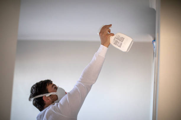 Best Same-Day Mold Removal  in Gillette, WY