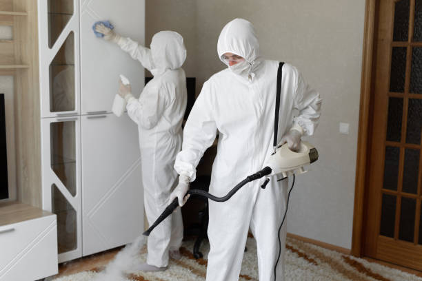 Best Commercial Mold Removal  in Gillette, WY